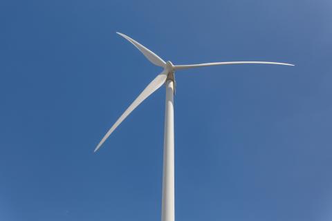 wind turbine